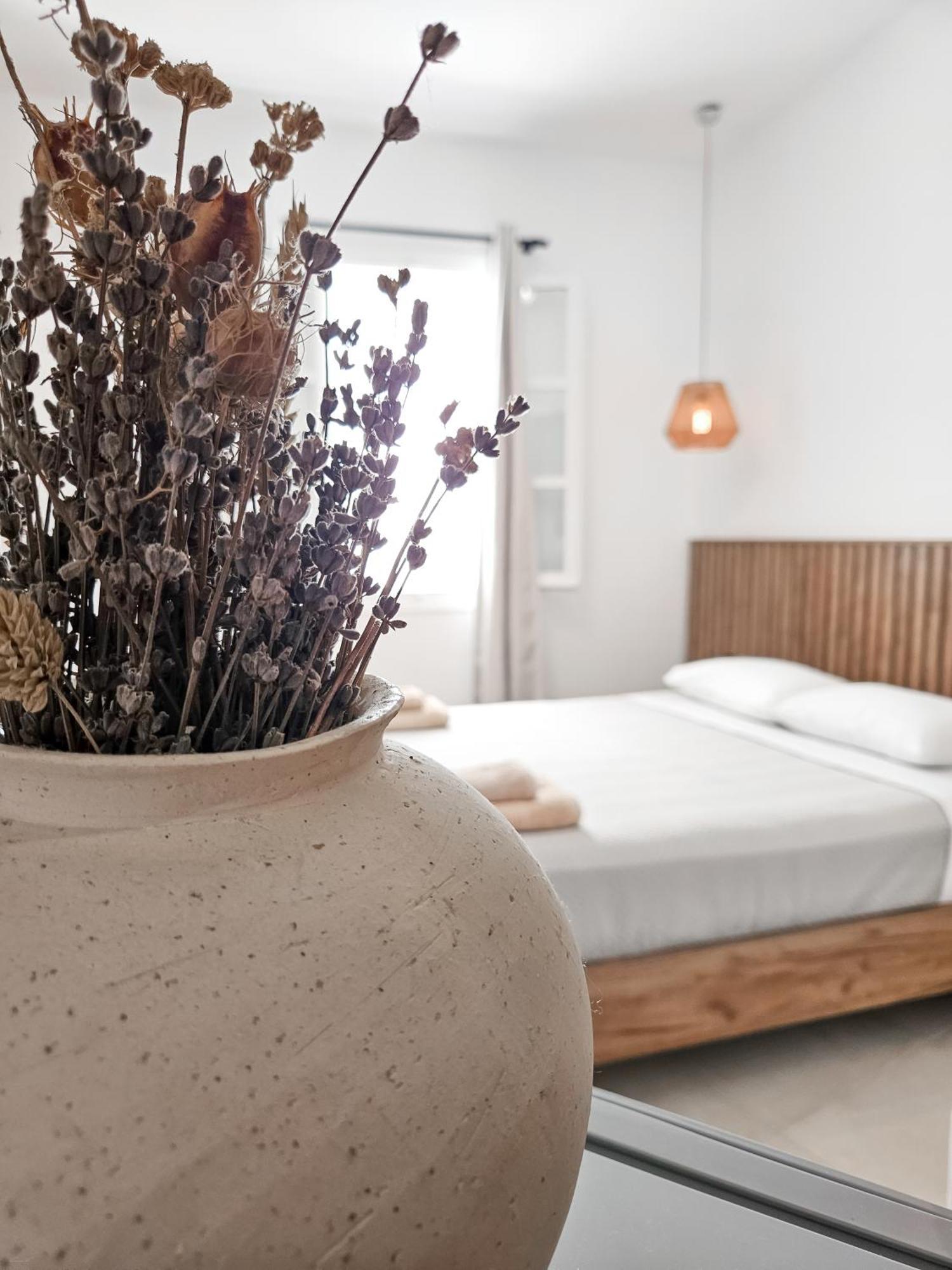 Oikia Suites Mykonos Mykonos Town Dış mekan fotoğraf